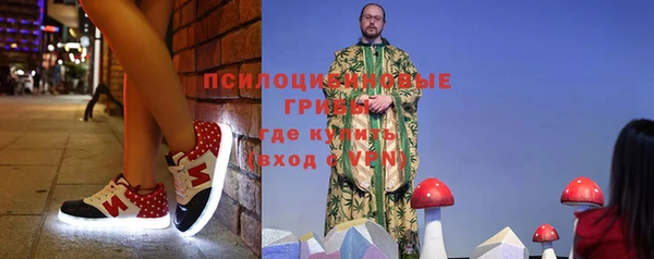 шишки Абинск