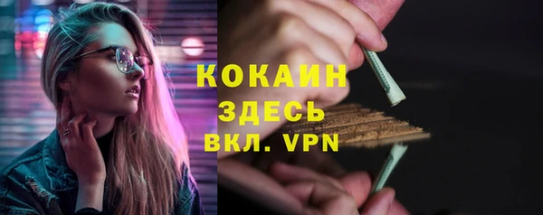 шишки Абинск