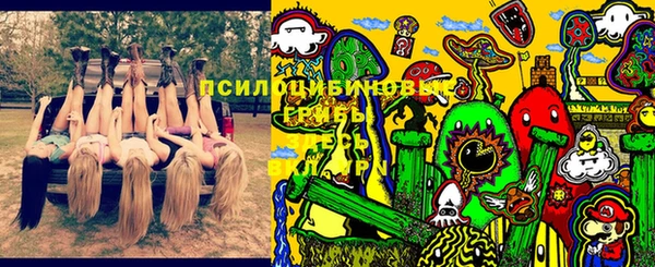 винт Абаза