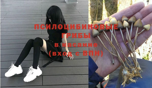 винт Абаза