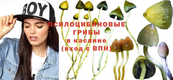 шишки Абинск