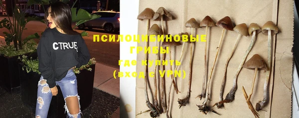 шишки Абинск