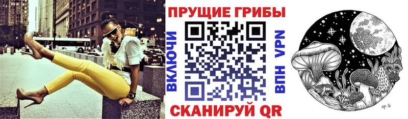 магазин    Тутаев  hydra как войти  Галлюциногенные грибы MAGIC MUSHROOMS 